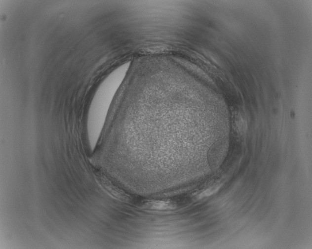 X0000076400507200610271621