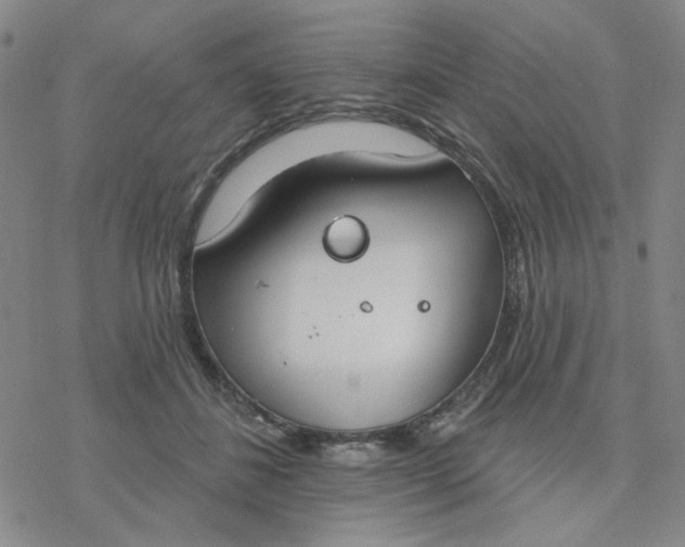 X0000076400508200610271621