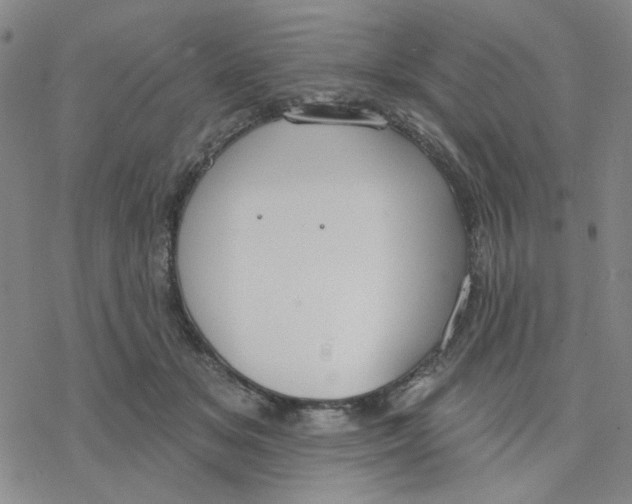 X0000076400509200610271621