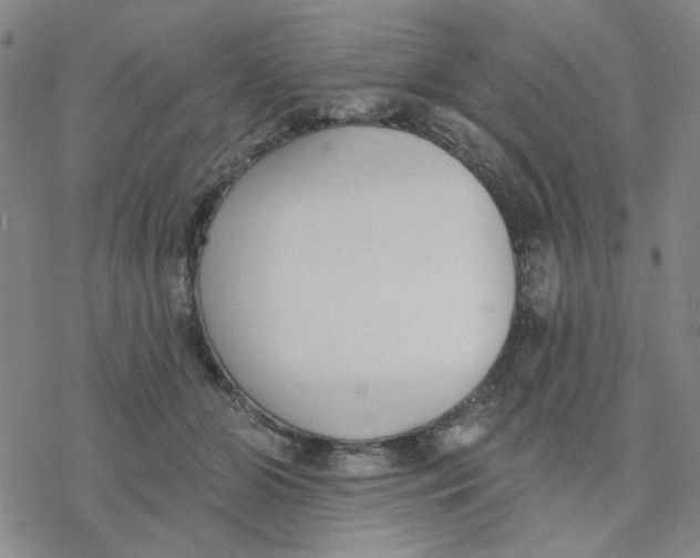 X0000076400510200610271621