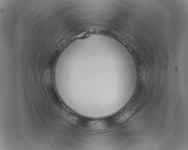 X0000076400511200610271621