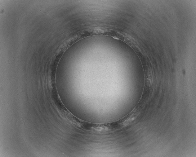 X0000076400512200610271621