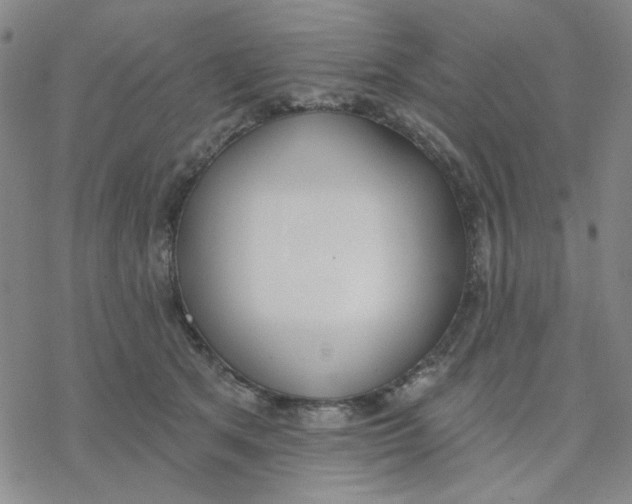 X0000076400513200610271621