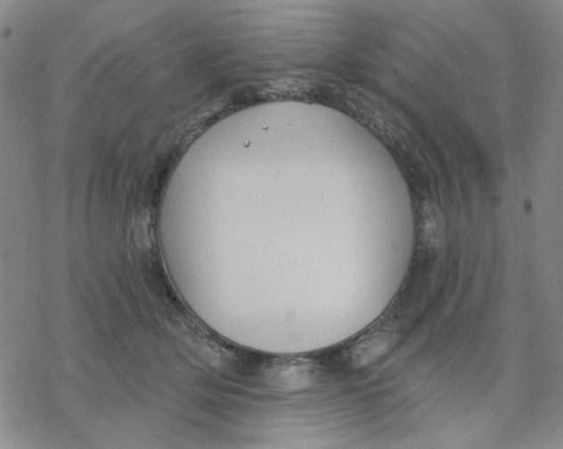 X0000076400514200610271621