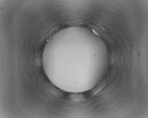 X0000076400515200610271621