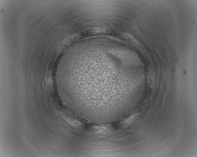 X0000076400516200610271621