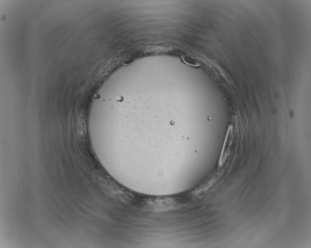 X0000076400517200610271621