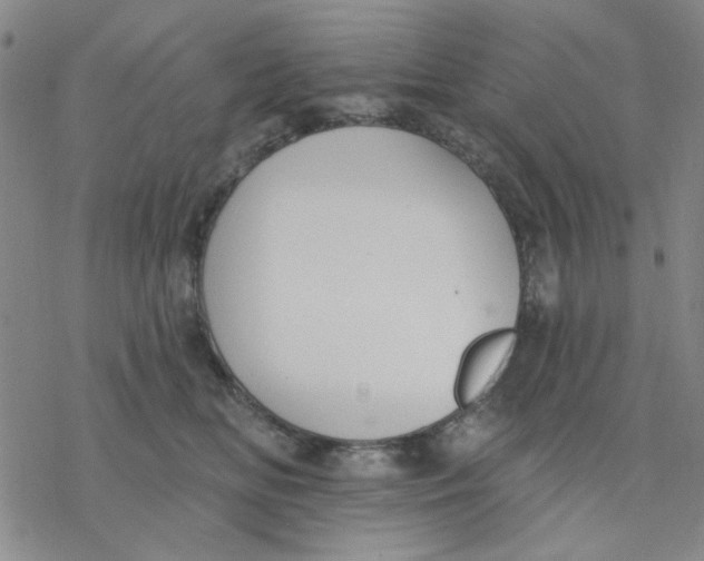 X0000076400518200610271621