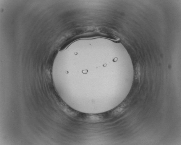 X0000076400522200610271621