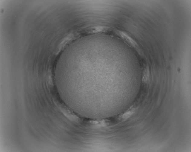 X0000076400524200610271621