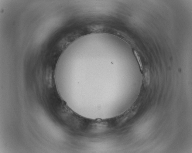 X0000076400525200610271621