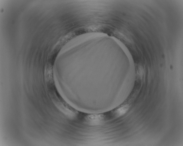 X0000076400526200610271621