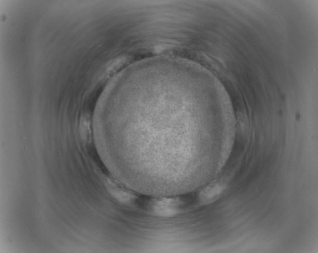 X0000076400527200610271621