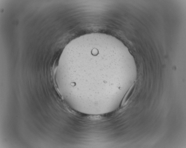 X0000076400528200610271621