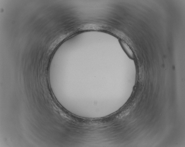 X0000076400529200610271620