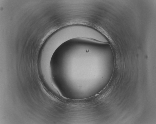 X0000076400530200610271620