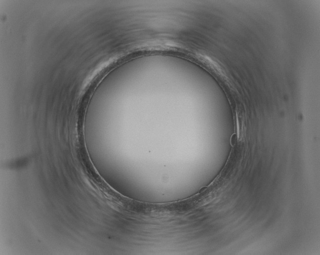 X0000076400531200610271620