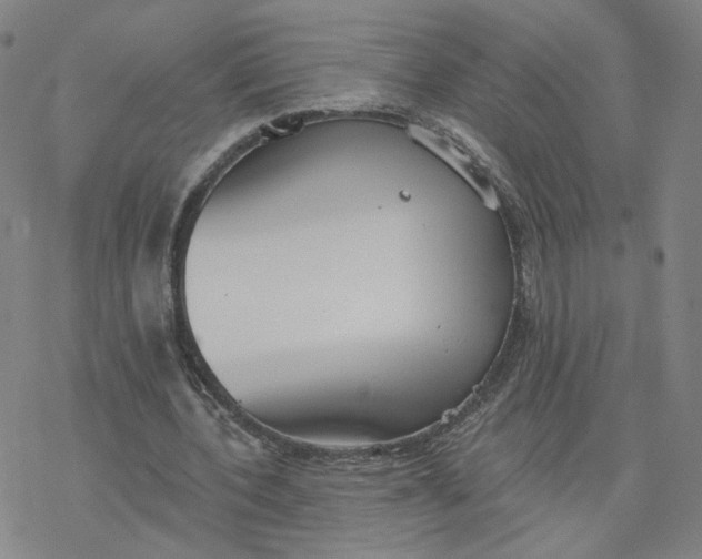 X0000076400532200610271620