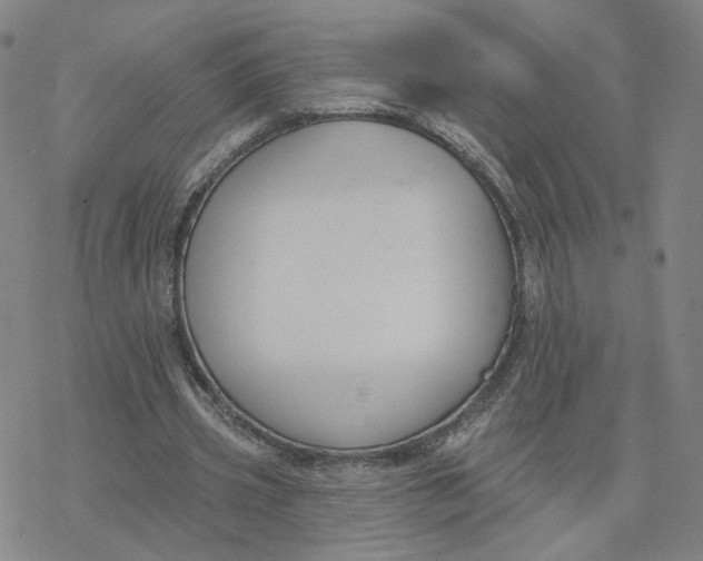 X0000076400533200610271620