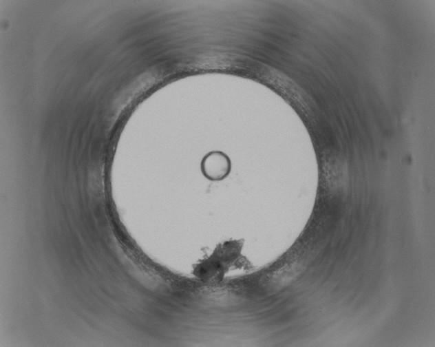 X0000076400534200610271620