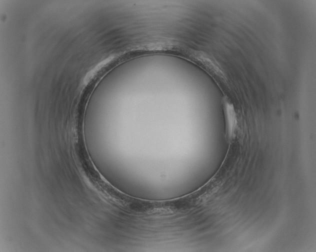 X0000076400536200610271620