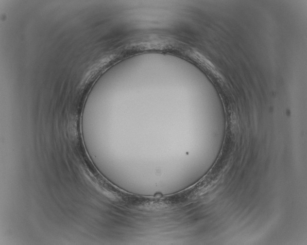 X0000076400537200610271620