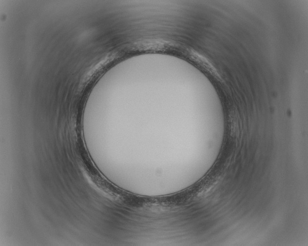 X0000076400538200610271620