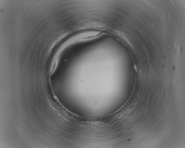 X0000076400539200610271620