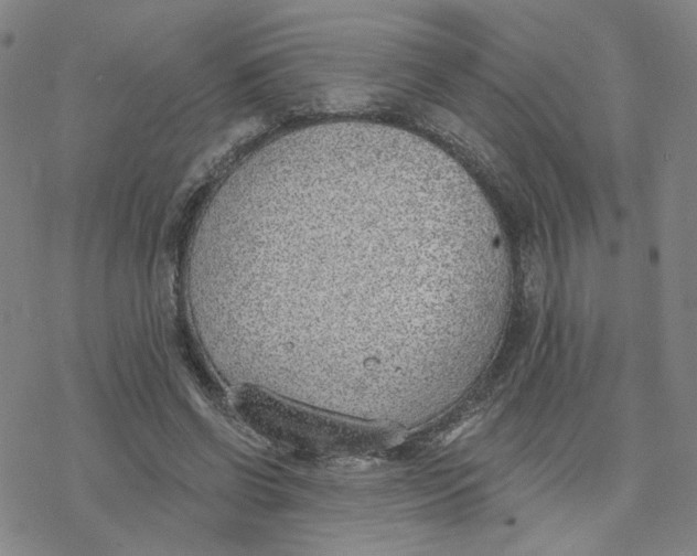 X0000076400542200610271620