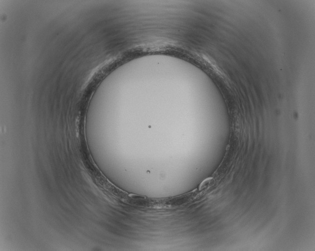 X0000076400543200610271620