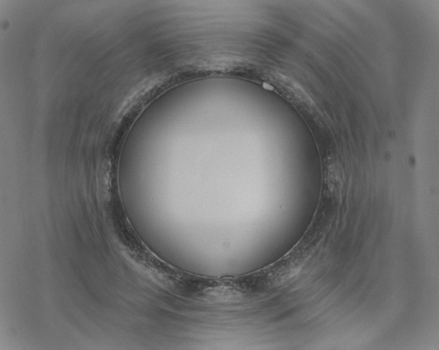 X0000076400544200610271621