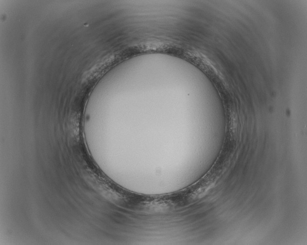 X0000076400545200610271621