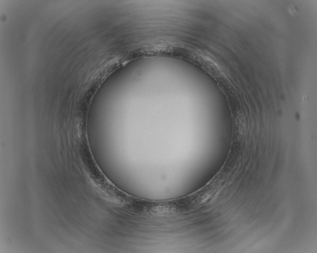 X0000076400546200610271621