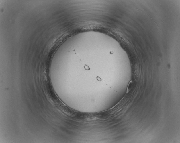 X0000076400547200610271621