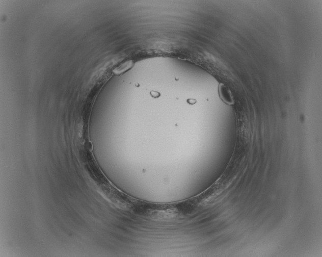 X0000076400548200610271621