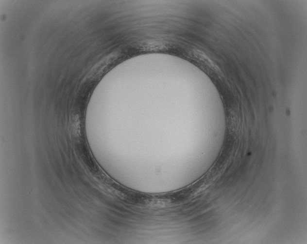 X0000076400549200610271621