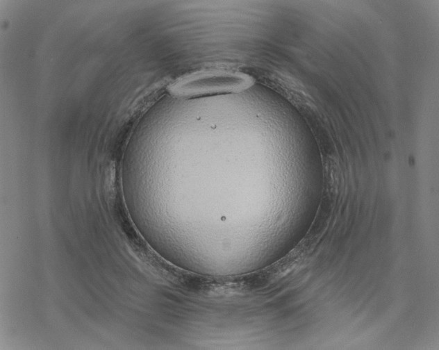 X0000076400550200610271621