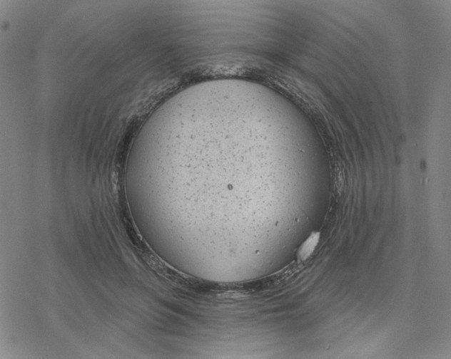 X0000076400551200610271621