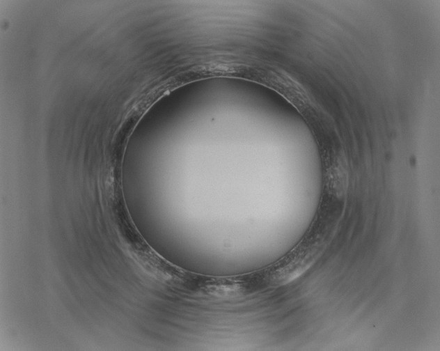 X0000076400552200610271621