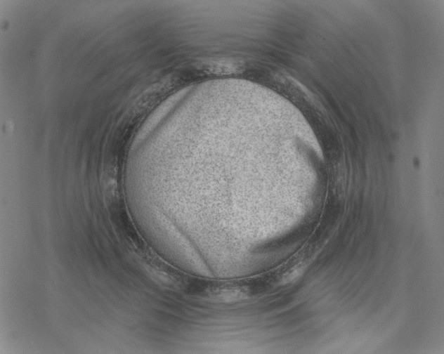 X0000076400553200610271621