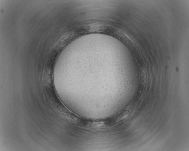 X0000076400554200610271621