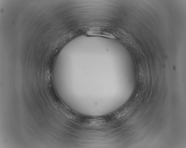 X0000076400555200610271621