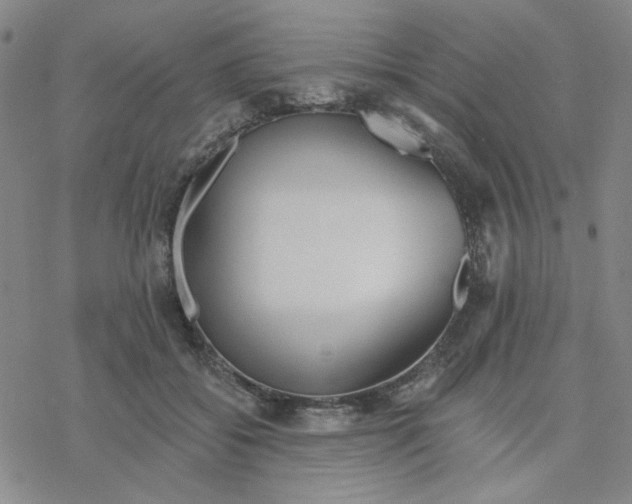 X0000076400556200610271621