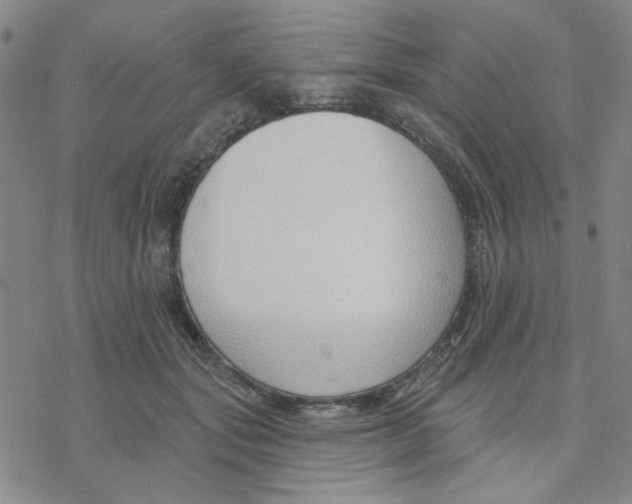 X0000076400557200610271621