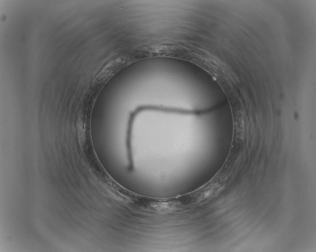 X0000076400558200610271621