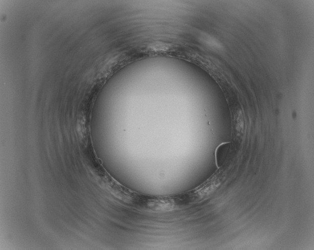 X0000076400559200610271621