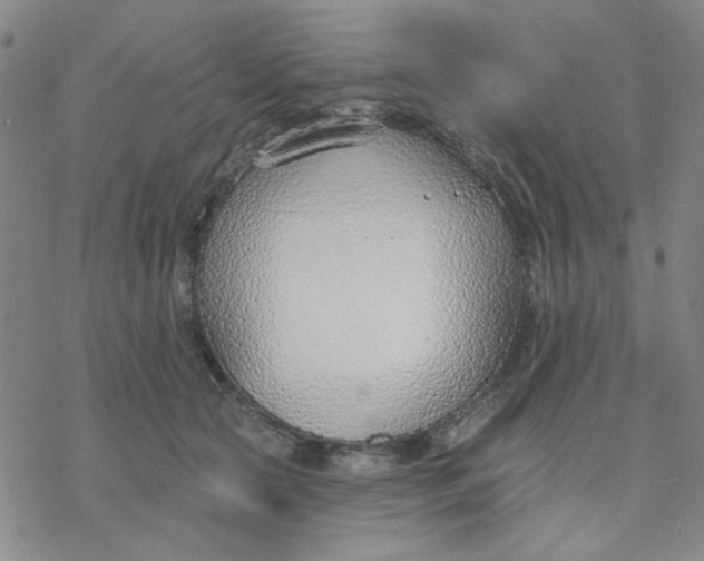 X0000076400561200610271621