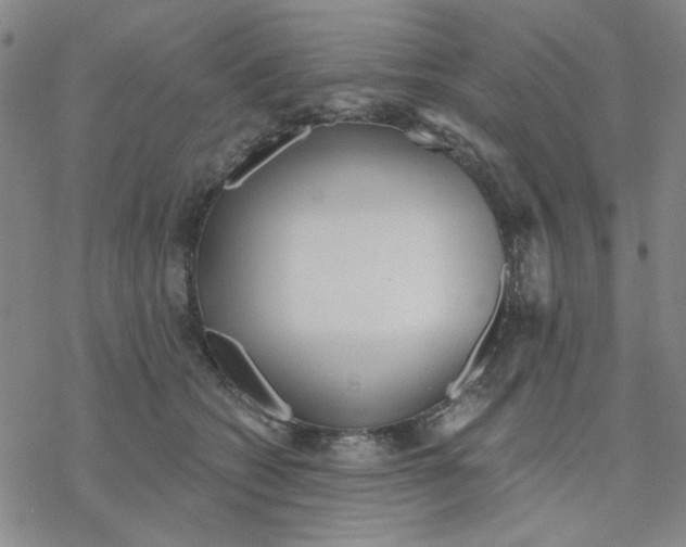 X0000076400562200610271621