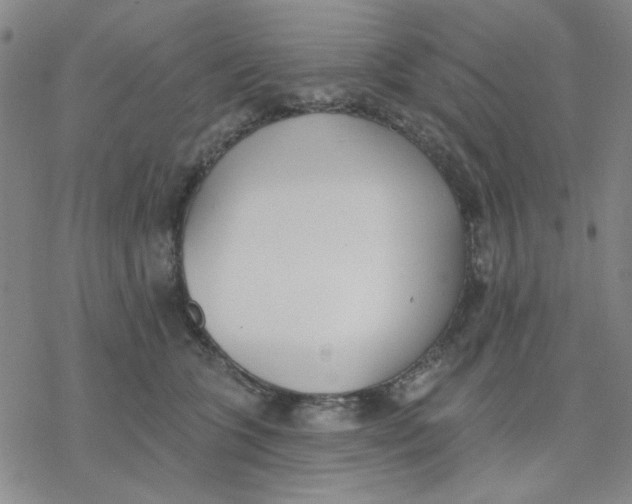 X0000076400563200610271621