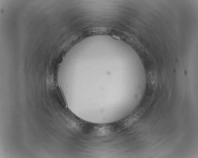 X0000076400564200610271621